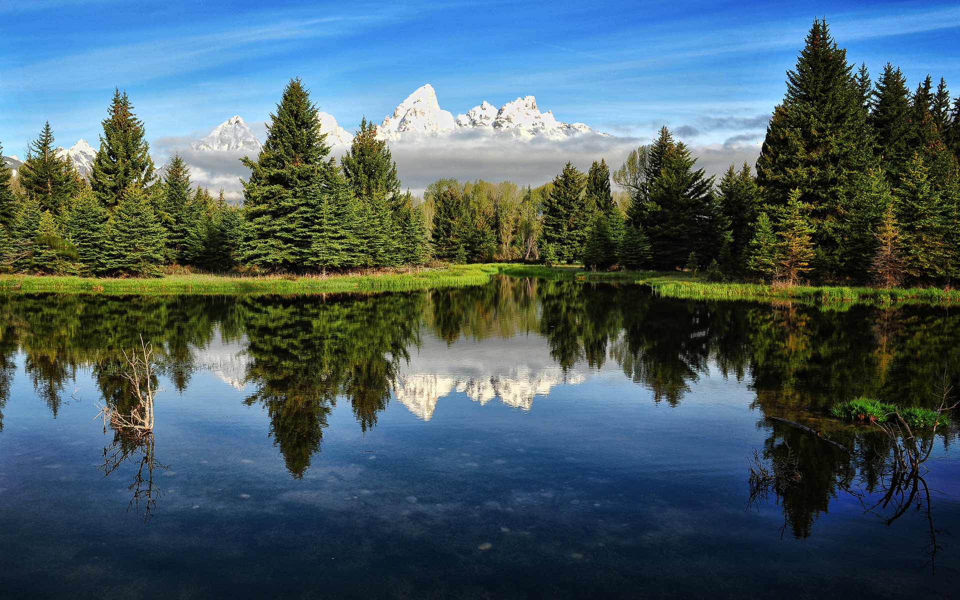 download gratuito di sfondi hd foresta,riflessione,natura,paesaggio naturale,cielo,acqua