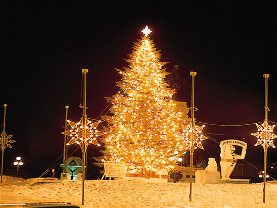 壁紙untukタブレット,クリスマスツリー,クリスマスのあかり,クリスマスの飾り,木,点灯