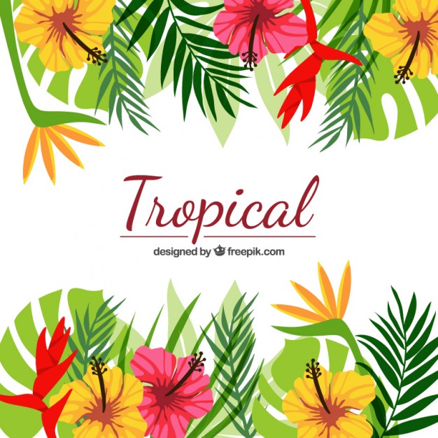 carta da parati a tema floreale,ibisco hawaiano,fiore,pianta,foglia,pianta fiorita