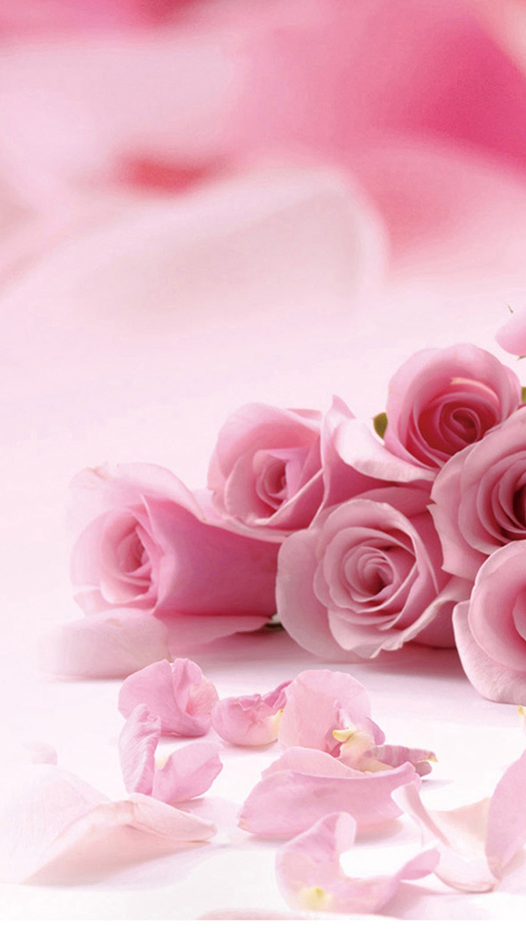 flower theme wallpaper,pink,garden roses,petal,rose,flower