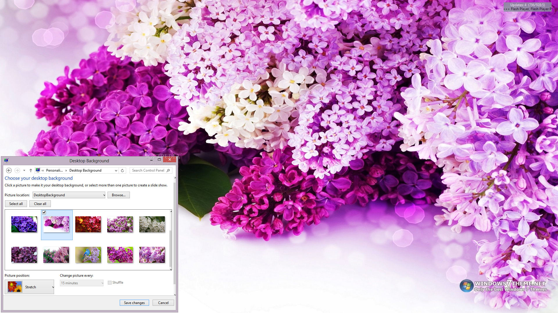 flower theme wallpaper,flower,lilac,purple,violet,lavender