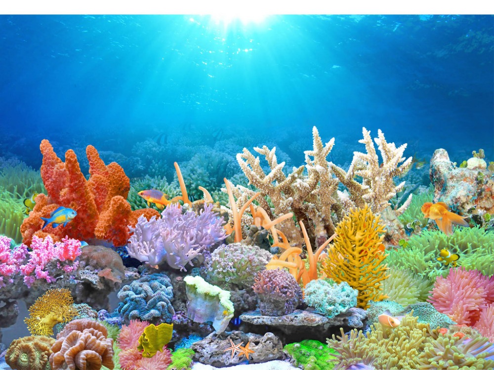 coral reef wallpaper hd,reef,coral reef,stony coral,aquarium decor,coral