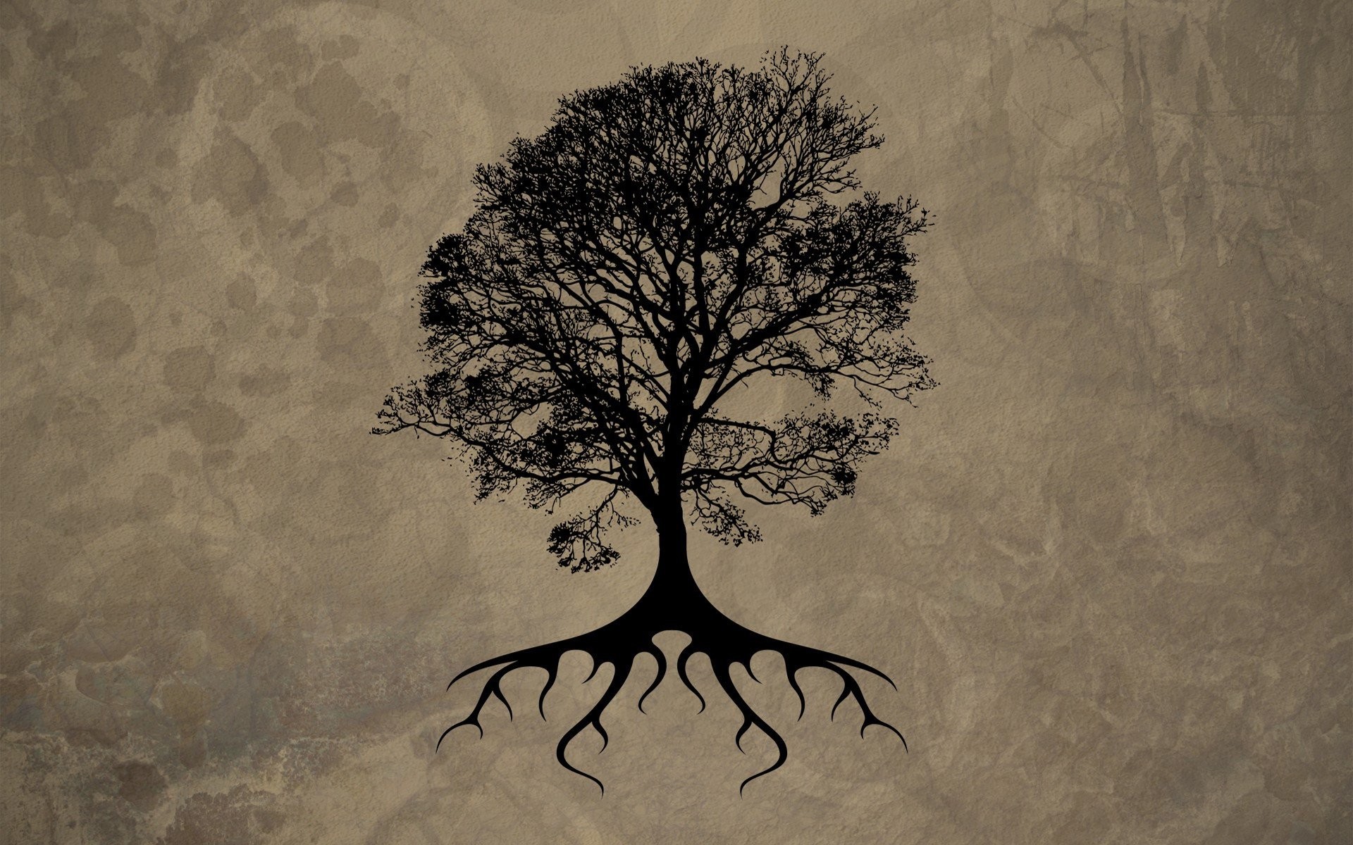 tree of life wallpaper,tree,branch,woody plant,root,plant