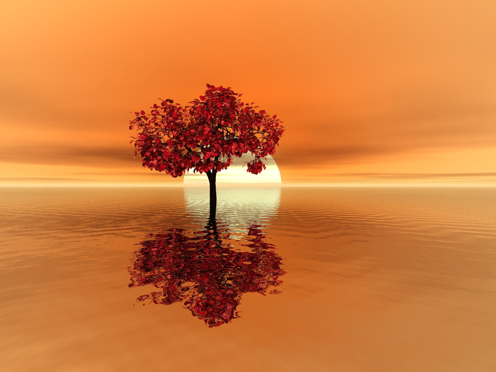 tree of life wallpaper,nature,tree,sky,natural landscape,calm