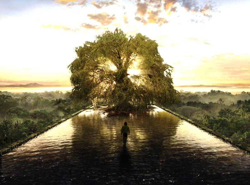 tree of life wallpaper,natural landscape,nature,sky,tree,reflection