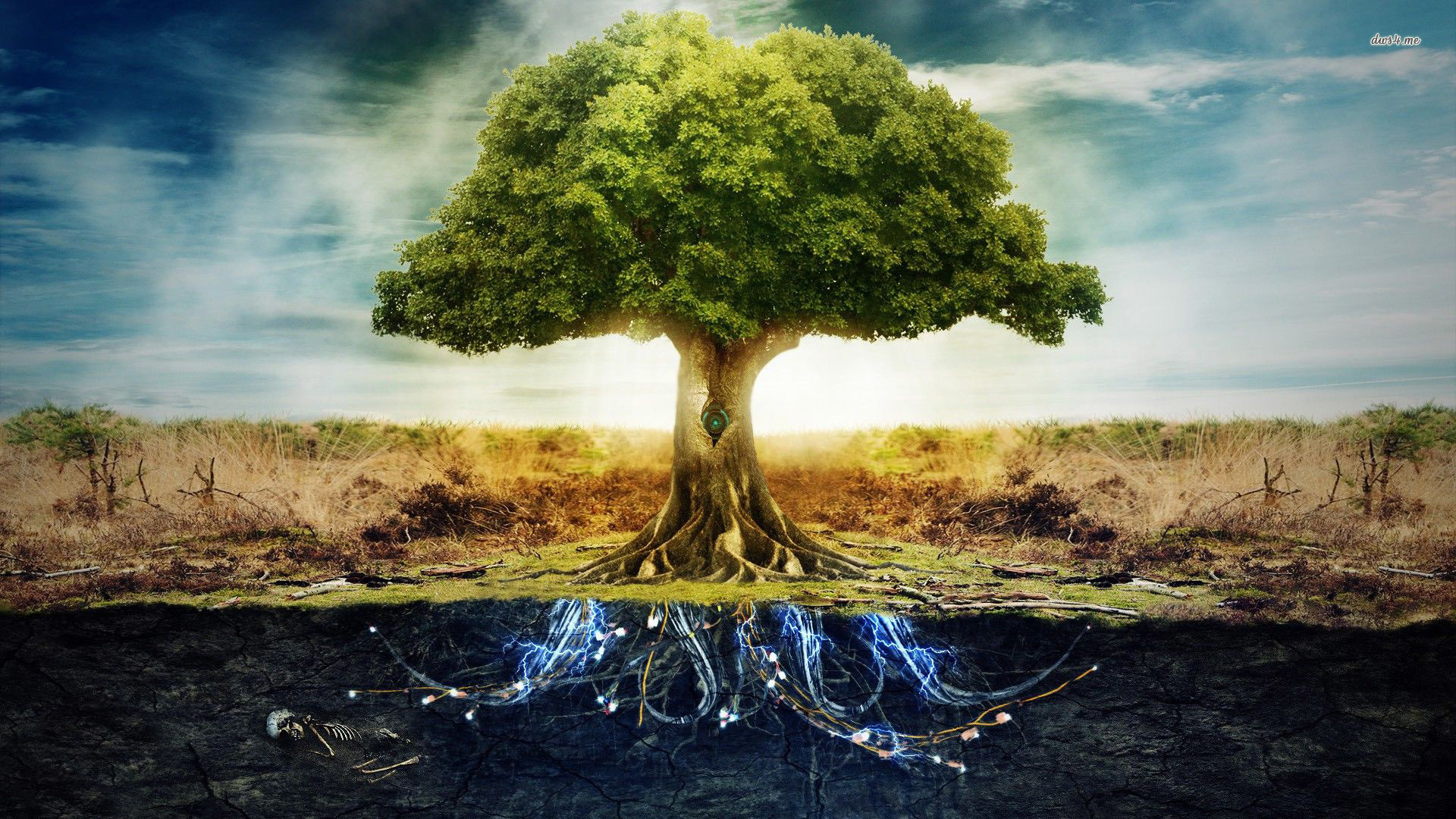 tree of life wallpaper,natural landscape,nature,tree,sky,vegetation