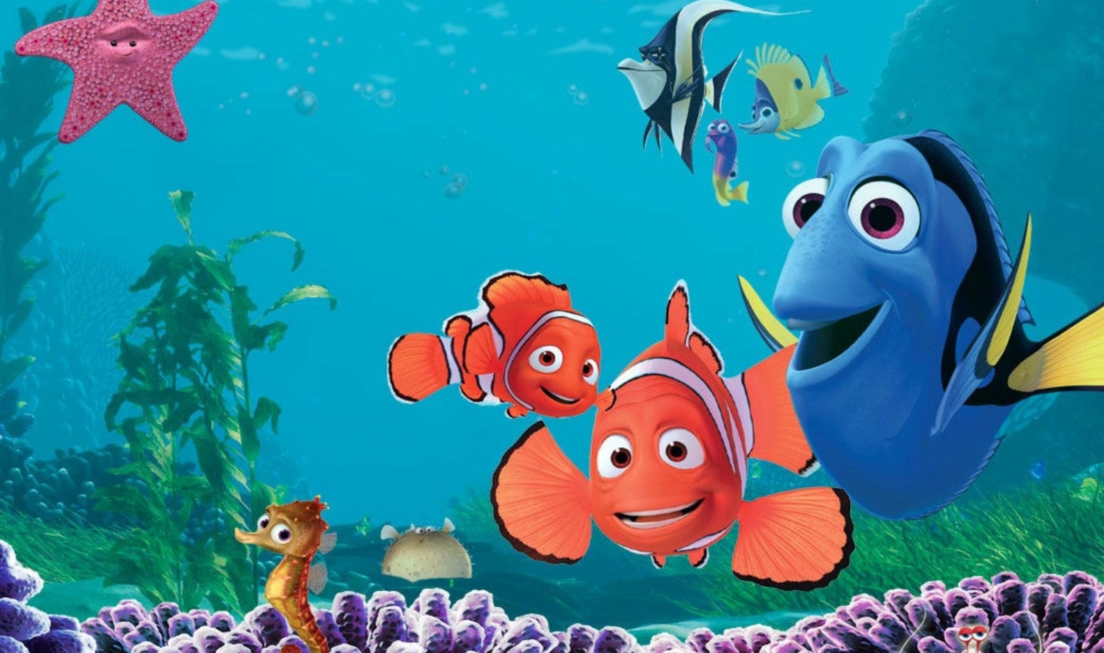 nemo wallpaper hd,animated cartoon,cartoon,anemone fish,fish,coral reef fish