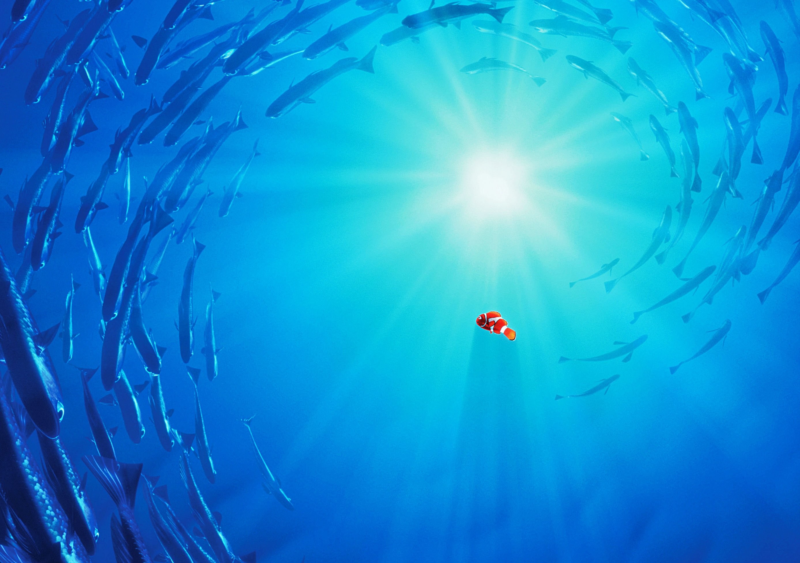 nemo wallpaper hd,blue,water,azure,aqua,turquoise