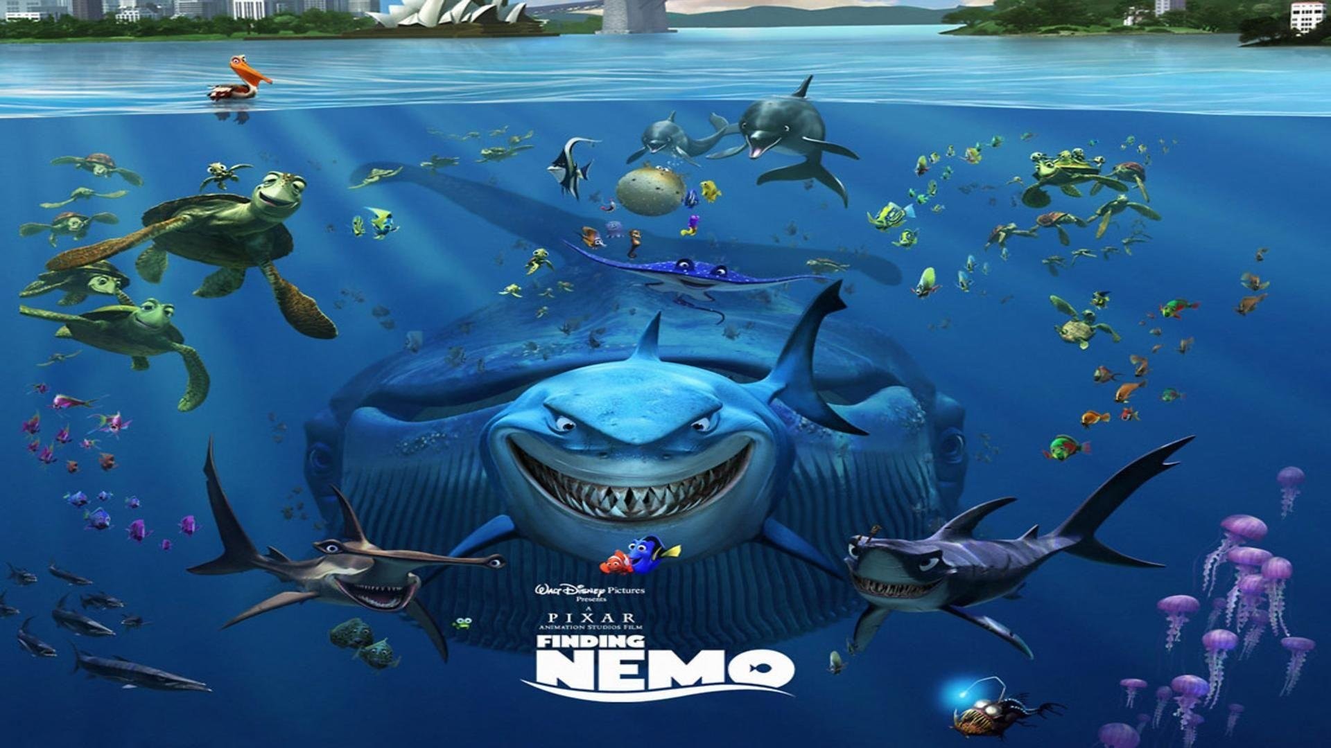 nemo wallpaper hd,fish,marine biology,fish,great white shark,lamniformes