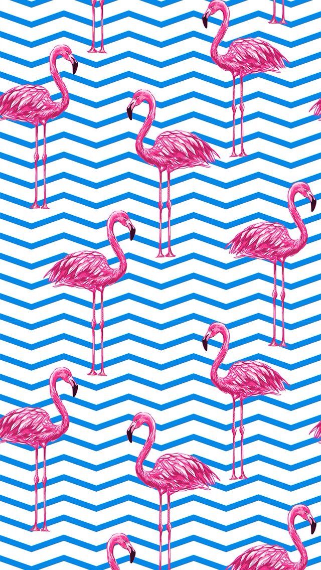 aplicativo de wallpaper,rosa,flamingo,muster,linie