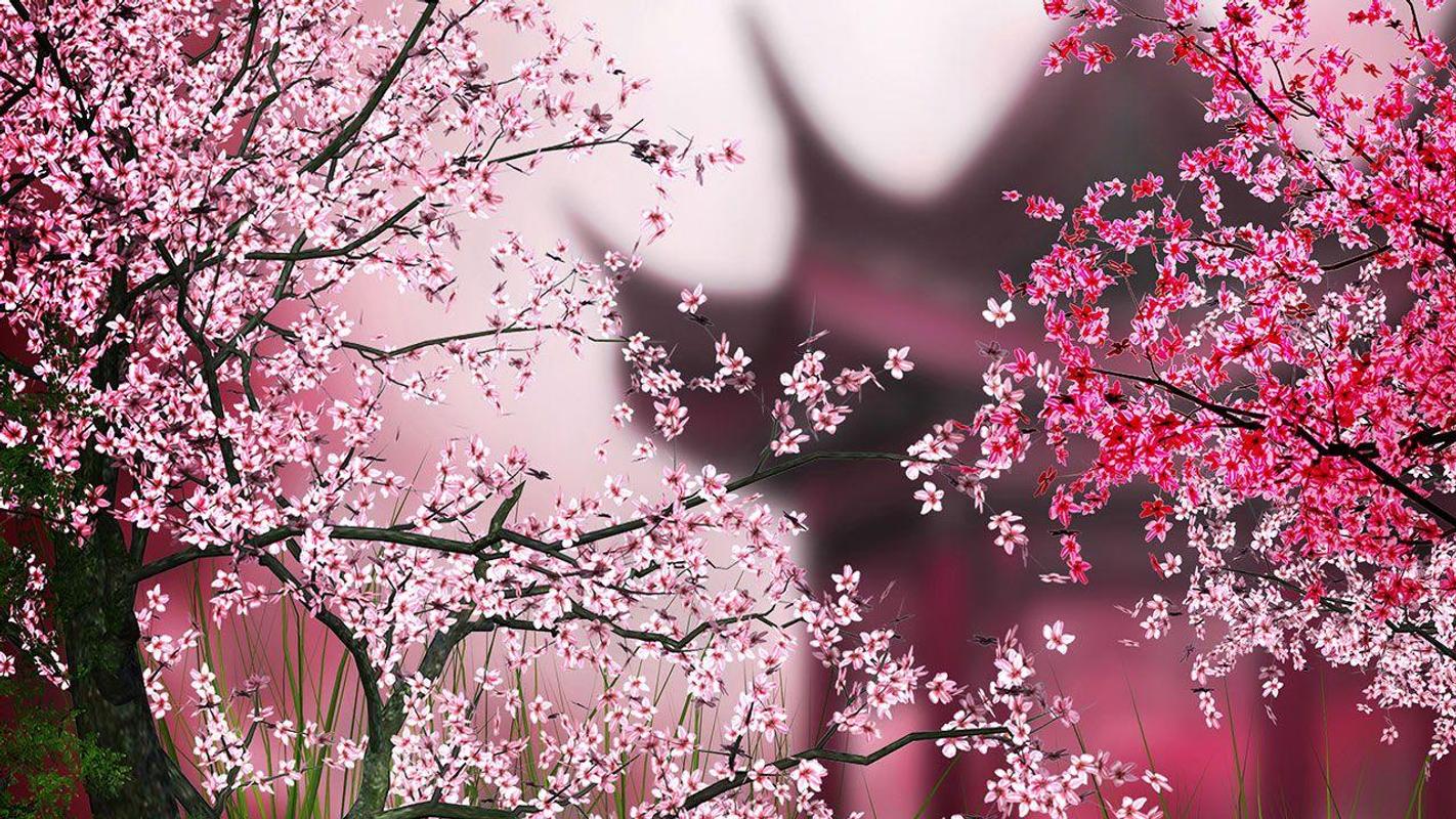 aplicativo de壁紙,花,自然,春,ピンク,花