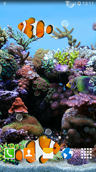 aplicativo de wallpaper,riff,korallenriff,steinkoralle,korallenrifffische,koralle