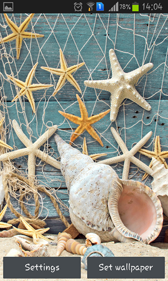 aplicativo de wallpaper,étoile de mer,invertébrés marins,invertébré