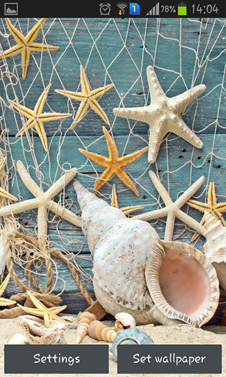 aplicativo de wallpaper,starfish,echinoderm,organism,adaptation,marine invertebrates