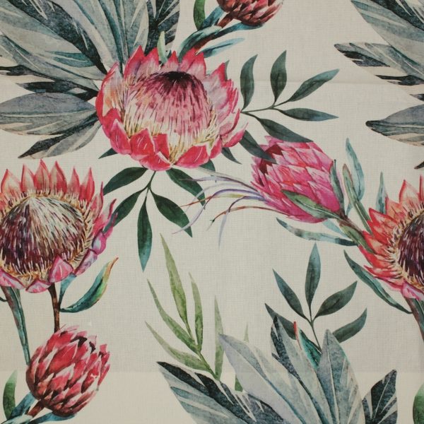 hertex wallpaper,blume,pflanze,blühende pflanze,muster,protea