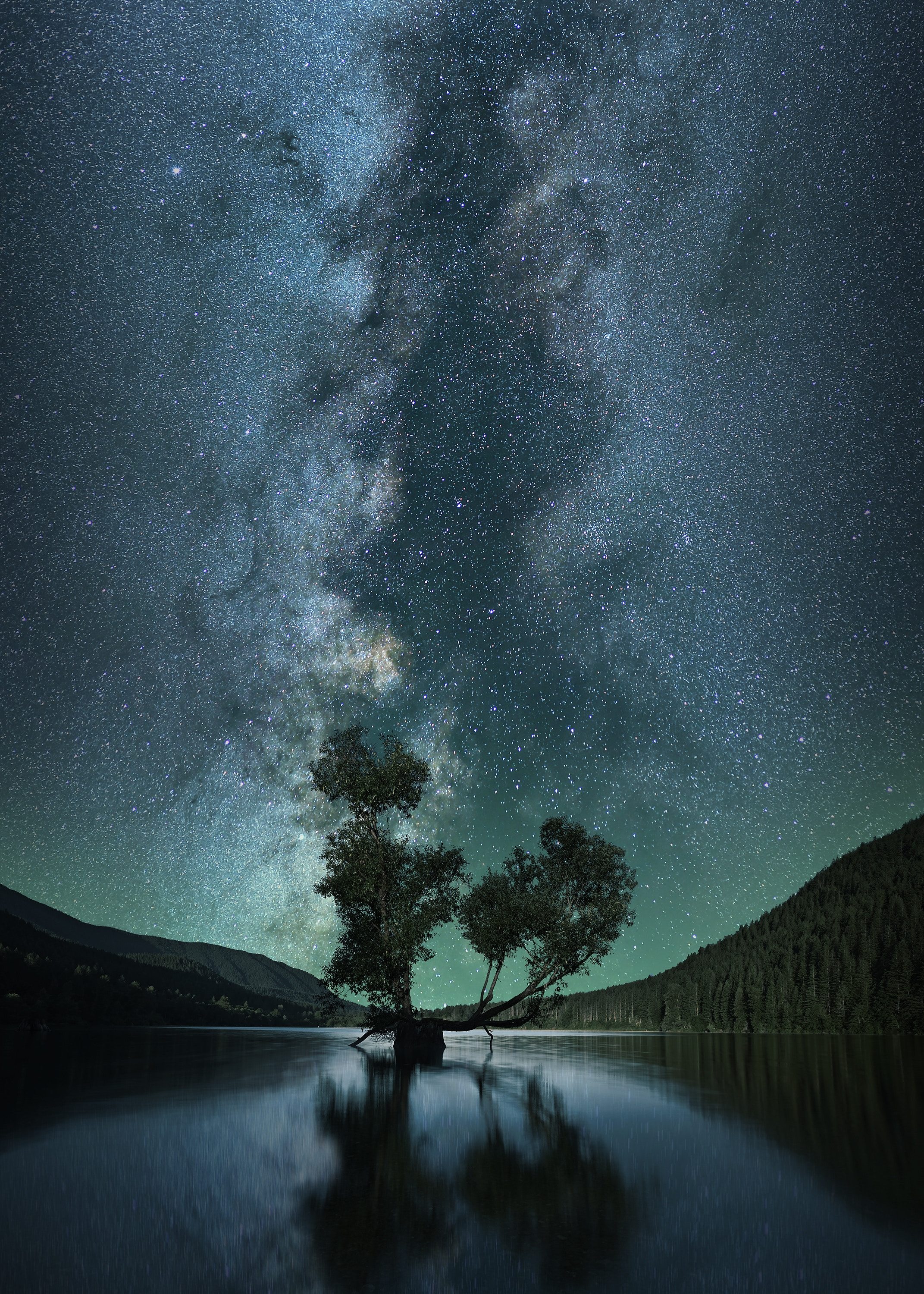 astrophotography wallpaper,sky,nature,atmosphere,natural landscape,tree