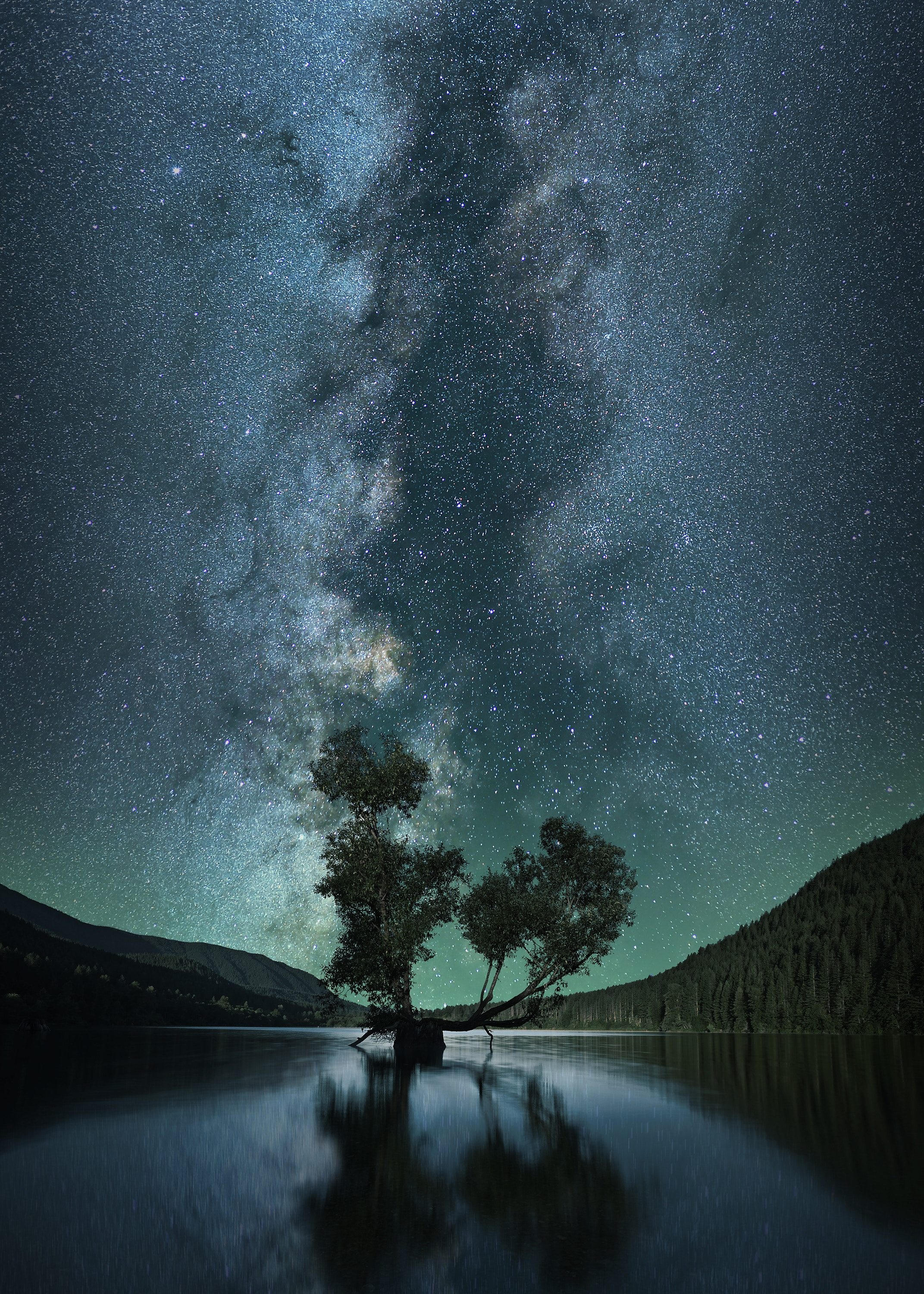 astrofotografie wallpaper,himmel,natur,atmosphäre,natürliche landschaft,baum