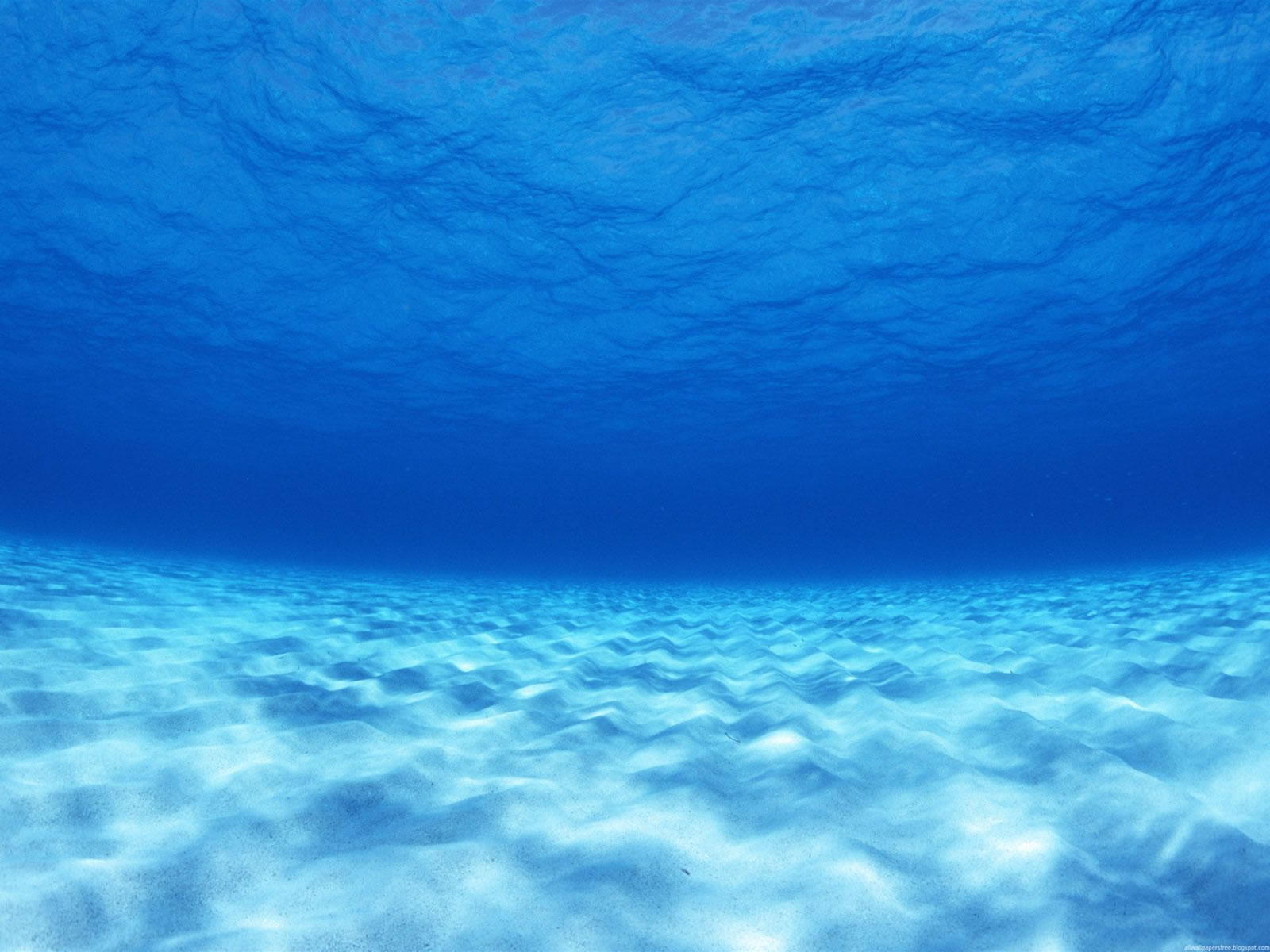 fond d'écran fundo do mar,bleu,l'eau,ciel,aqua,mer