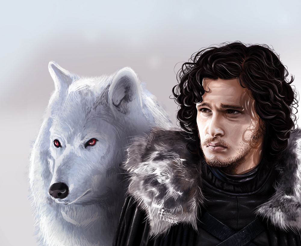 jon snow and ghost wallpaper,wolf,fur,canidae,head,canis lupus tundrarum