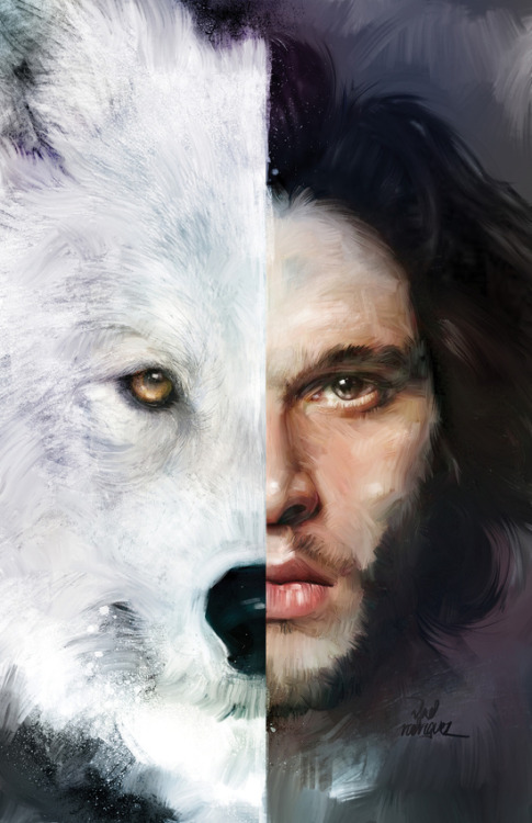 jon snow and ghost fondo de pantalla,lobo,cabeza,perro lobo,hocico,ojo