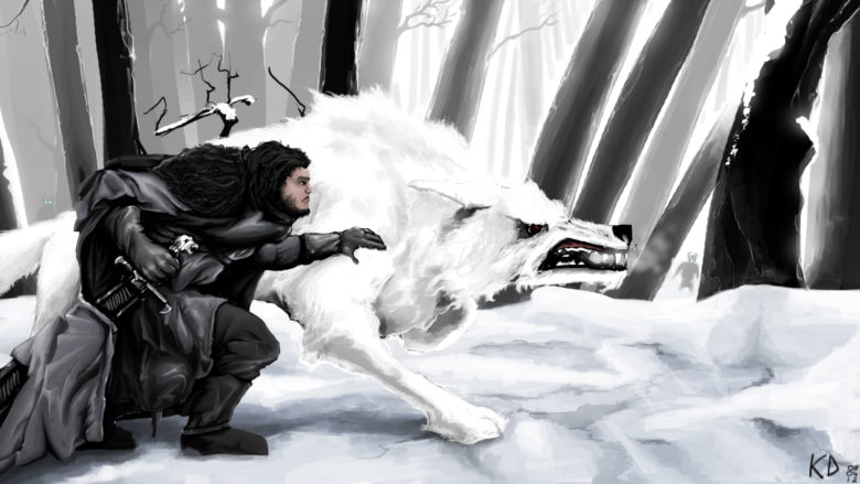 jon snow and ghost wallpaper,black and white,photography,art