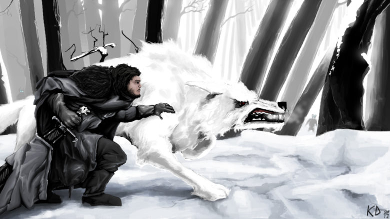 jon snow and ghost wallpaper,bianco e nero,fotografia,arte