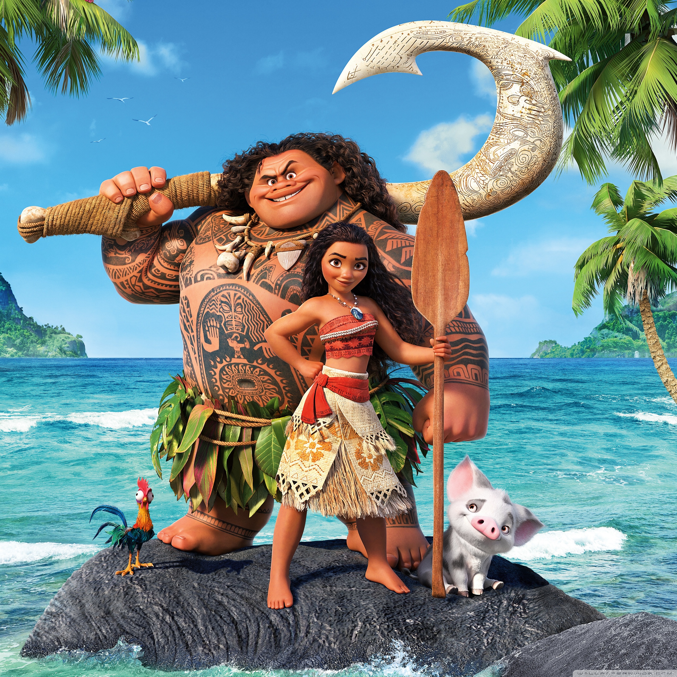 moana hd wallpaper,fun,vacation,summer,illustration,photography