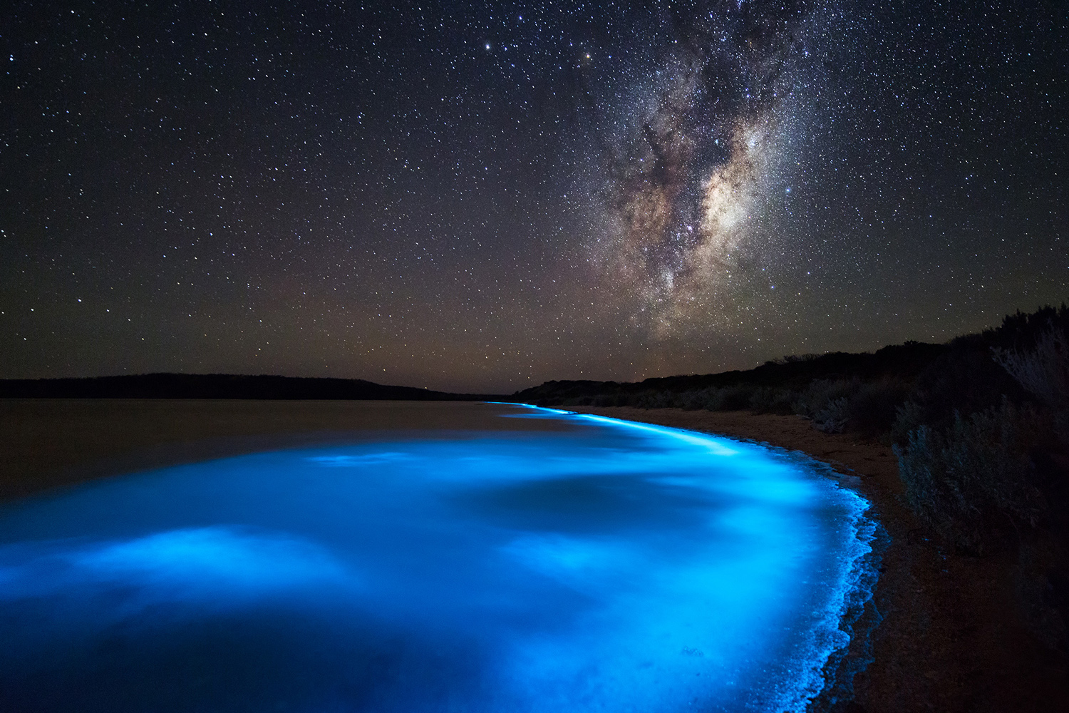 plankton tapete,atmosphäre,himmel,astronomisches objekt,platz,weltraum