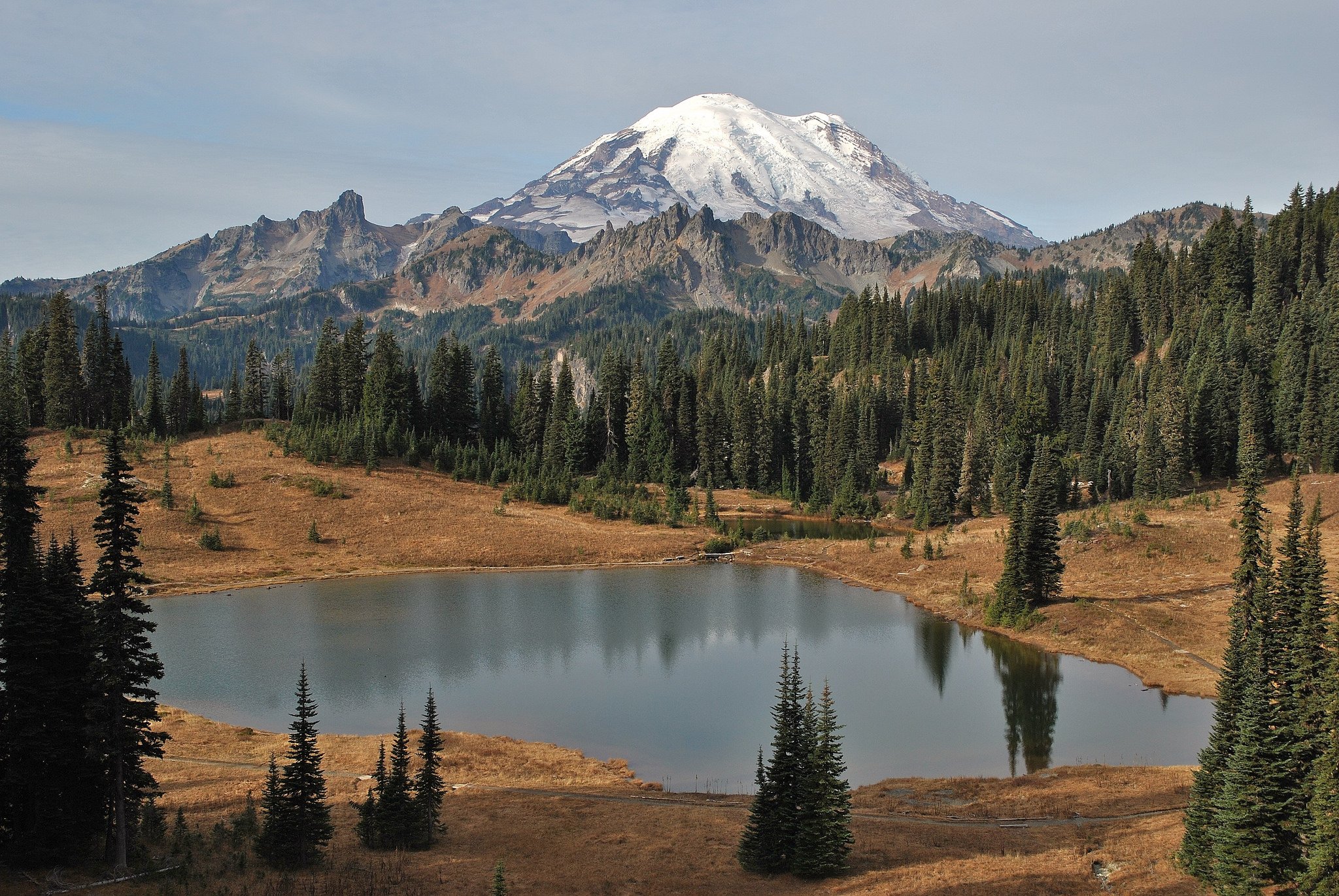 fondo de pantalla mt rainier,montaña,paisaje natural,naturaleza,alerce larix lyalliisubalpine,reflexión