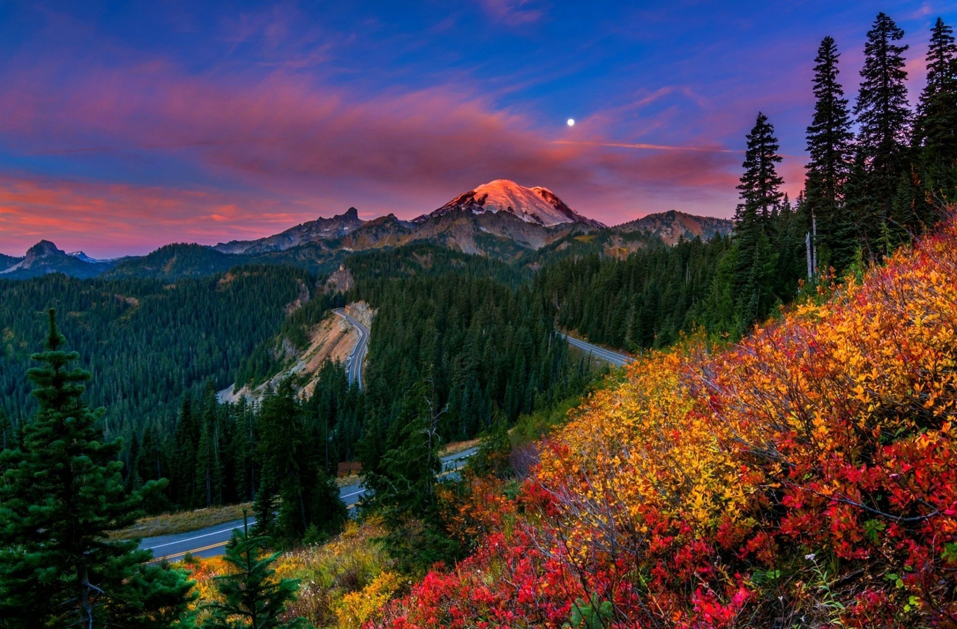 fondo de pantalla mt rainier,naturaleza,paisaje natural,montaña,cielo,árbol