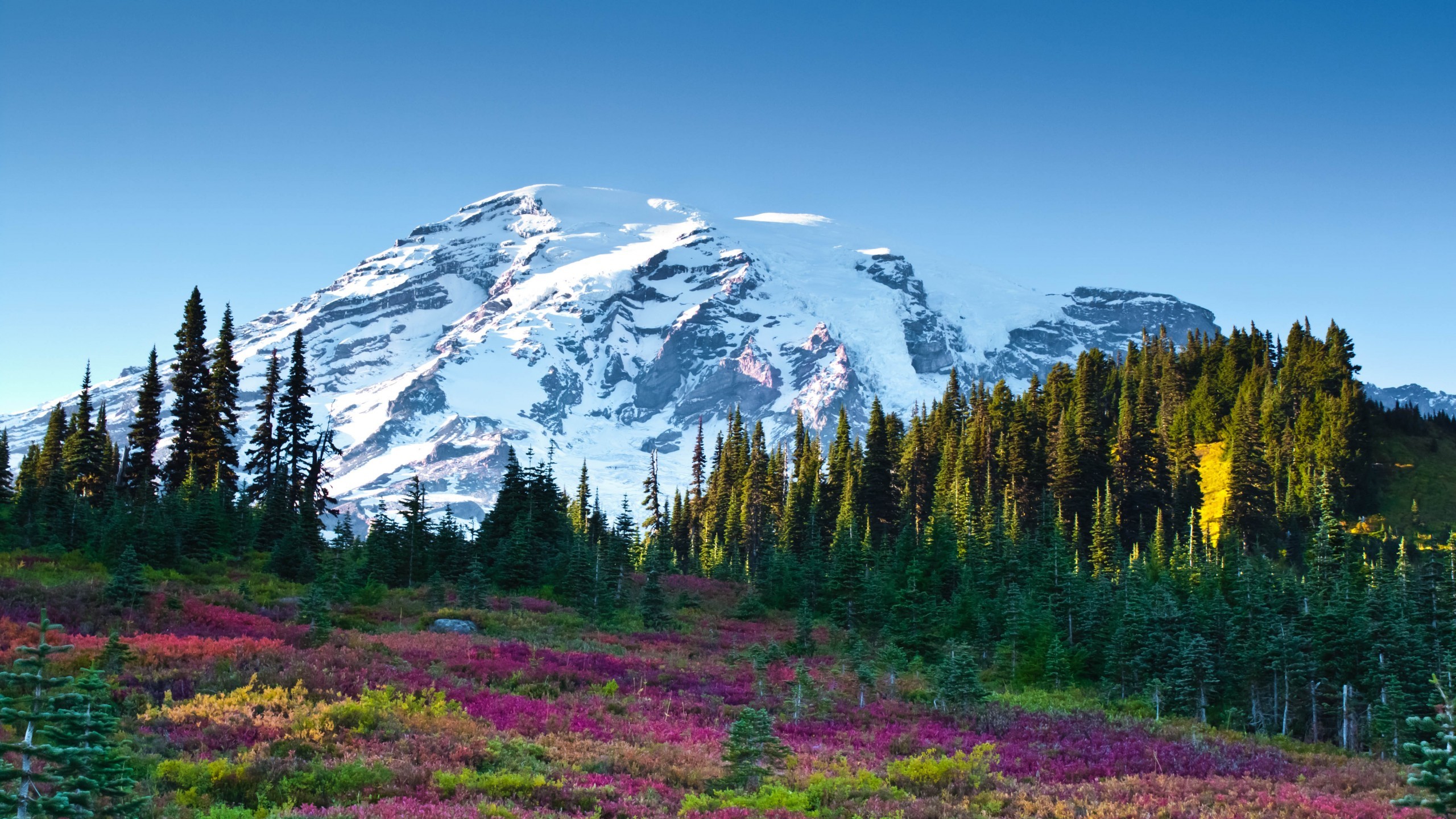 mt rainier wallpaper,mountainous landforms,natural landscape,mountain,nature,wilderness