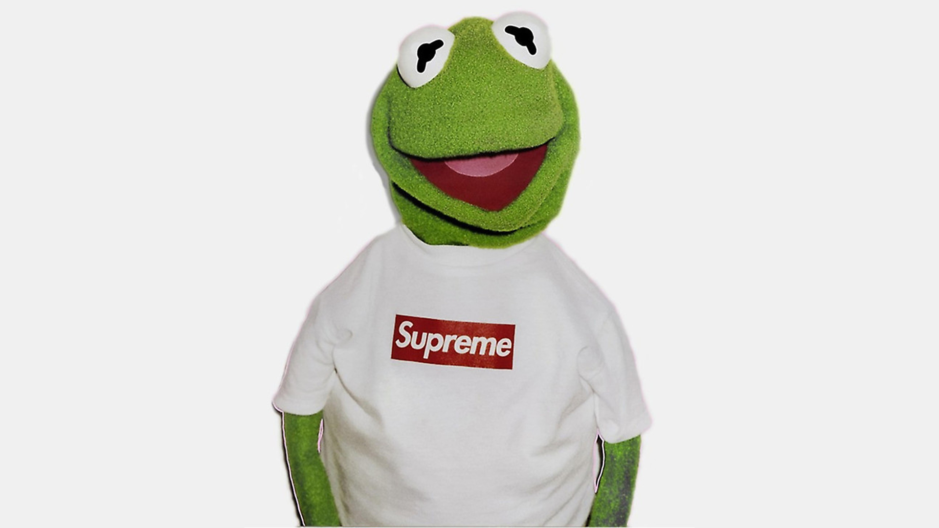 kermit the frog supreme wallpaper,green,frog,amphibian,dinosaur,toy