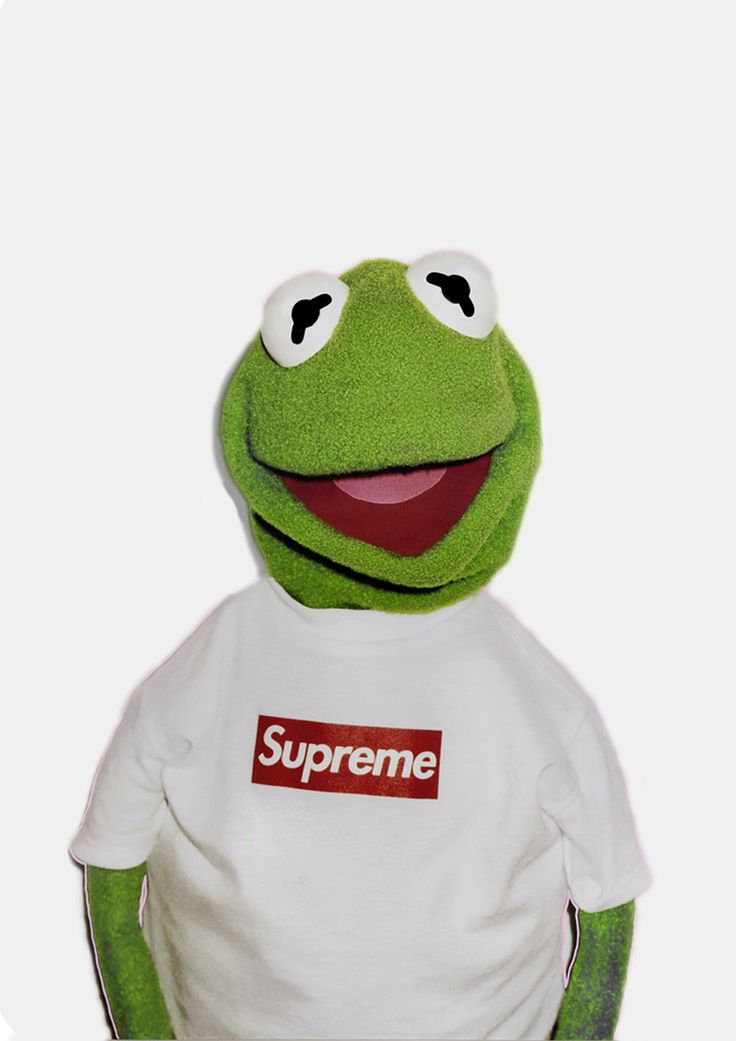 kermit the frog supreme wallpaper,green,frog,amphibian,toy,stuffed toy