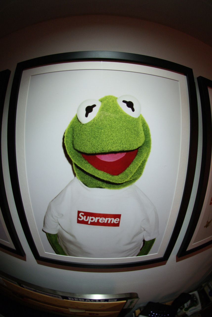 kermit the frog supreme wallpaper,green,helmet,motorcycle helmet,frog,photography