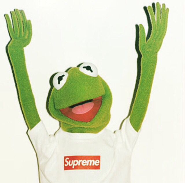 kermit the frog supreme wallpaper,green,finger,amphibian,plant,tree frog