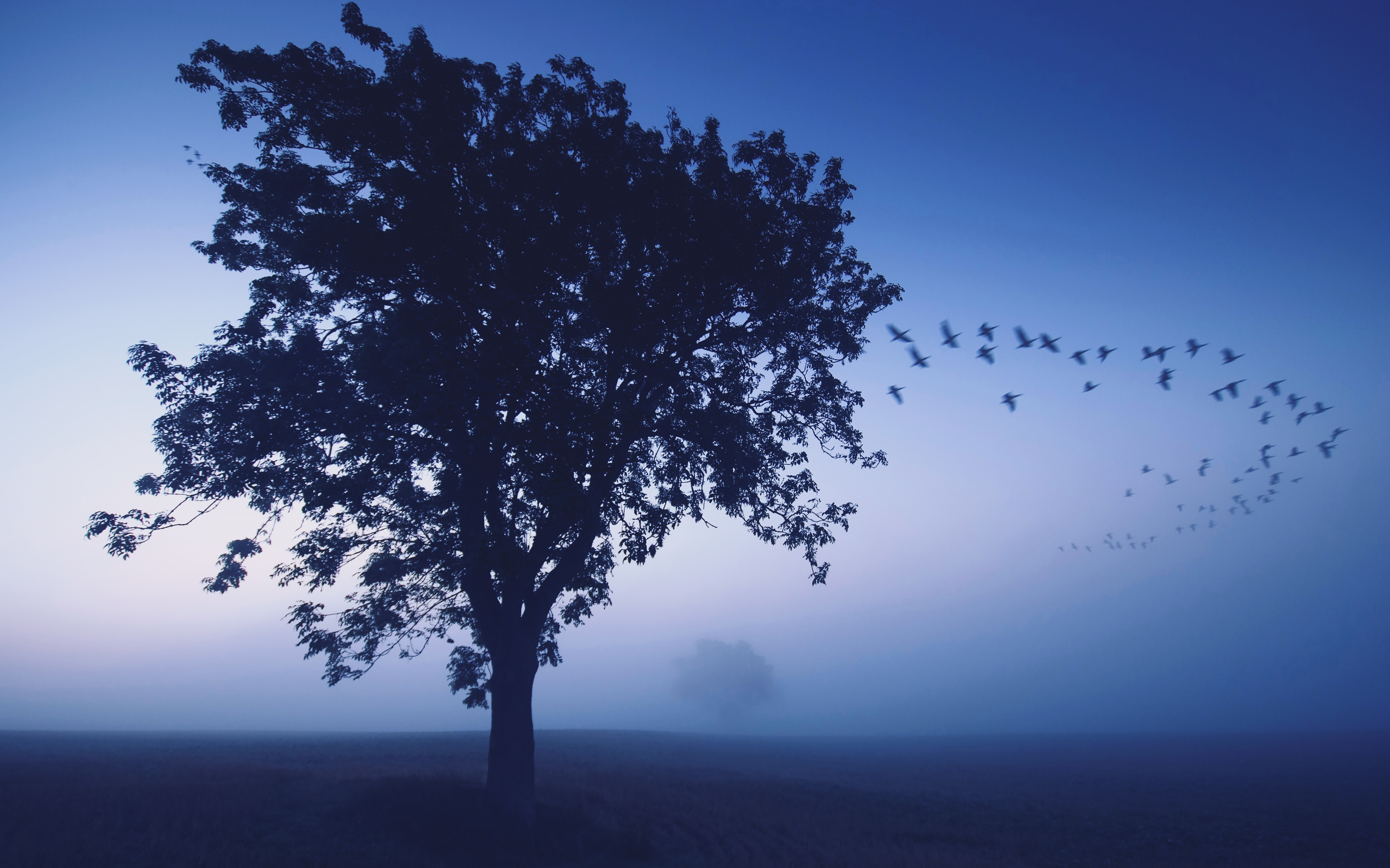 carta da parati mukesh,cielo,blu,albero,natura,paesaggio naturale