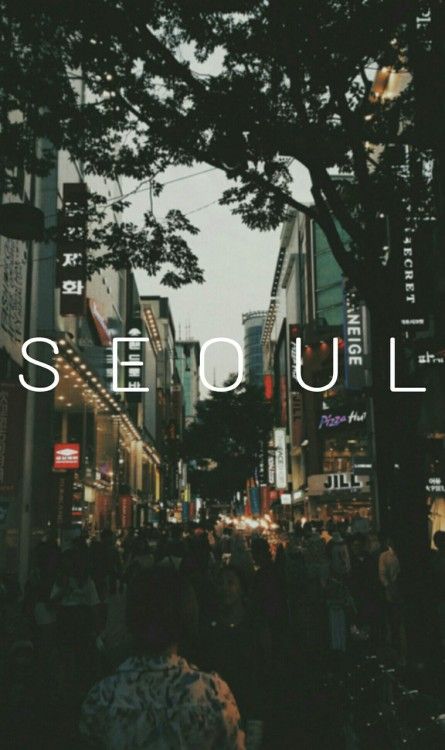 배경 오랑우탄 한국,시티,도시 풍경,수도권,도시 지역,폰트