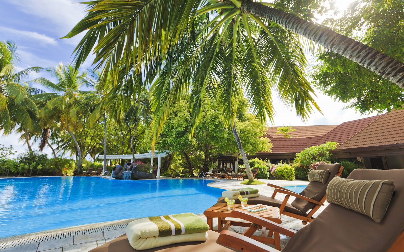 fond d'écran piscina,propriété,recours,arbre,vacances,palmier