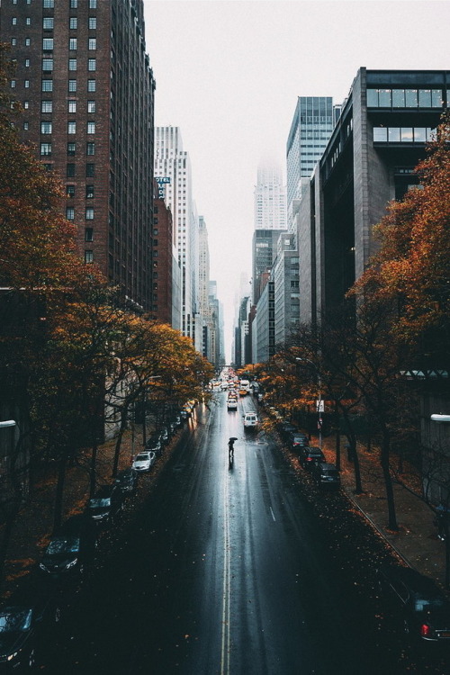 fondos de pantalla tumblr de nueva york,área urbana,ciudad,área metropolitana,calle,la carretera