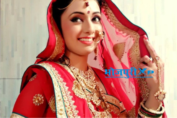 fond d'écran mani,sari,rose,rouge,tradition,la mariée