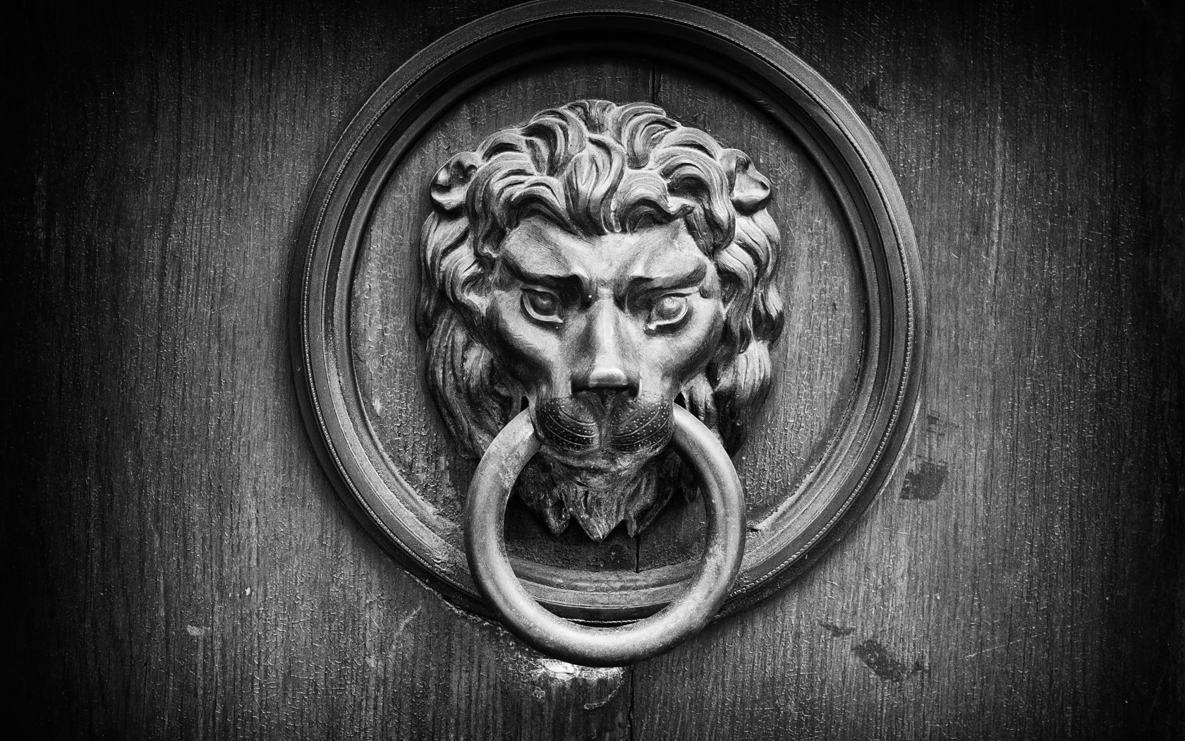 Door Knocker- WallpaperUse