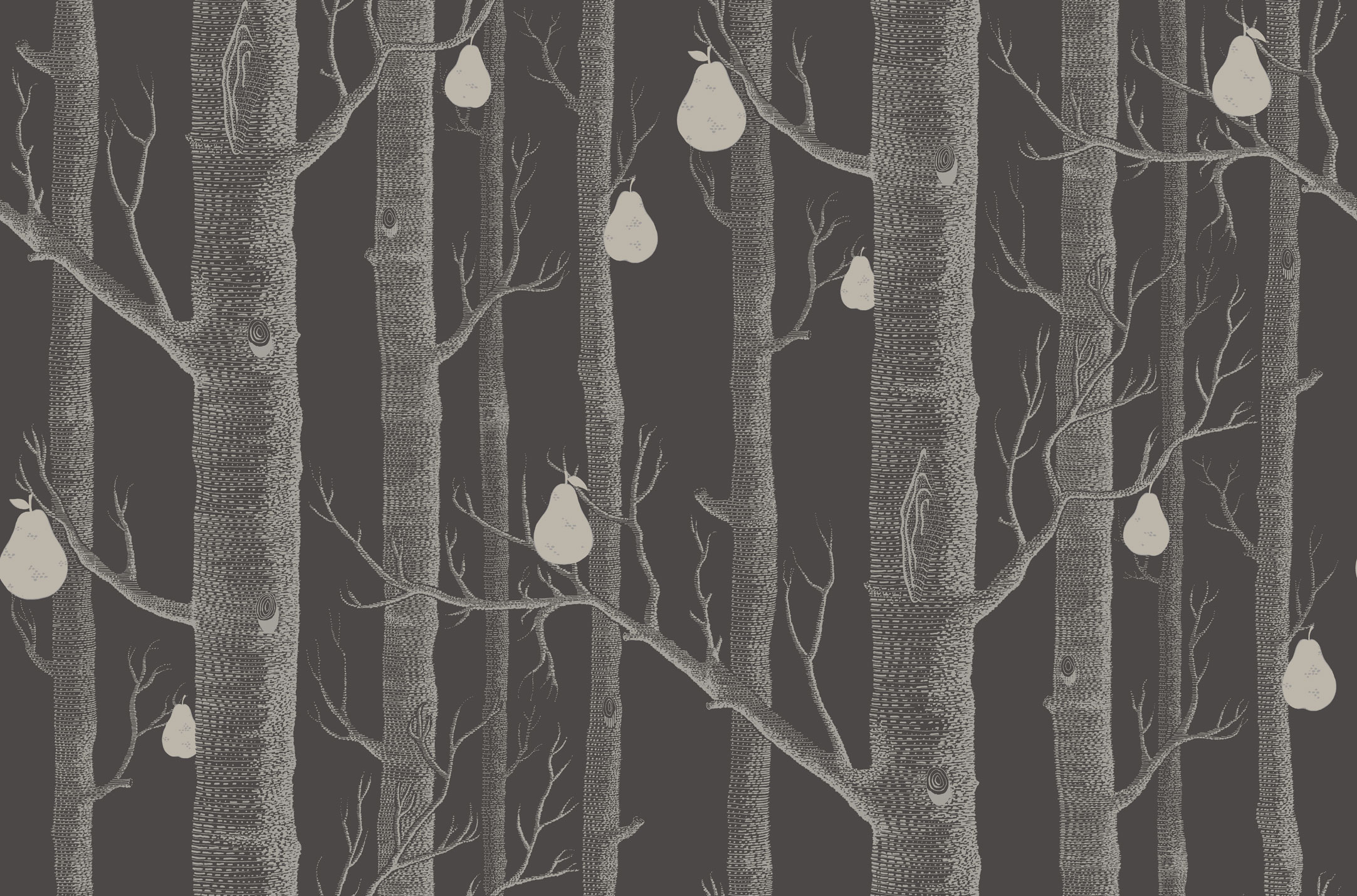 woods and pears wallpaper,black,branch,tree,natural environment,black and white