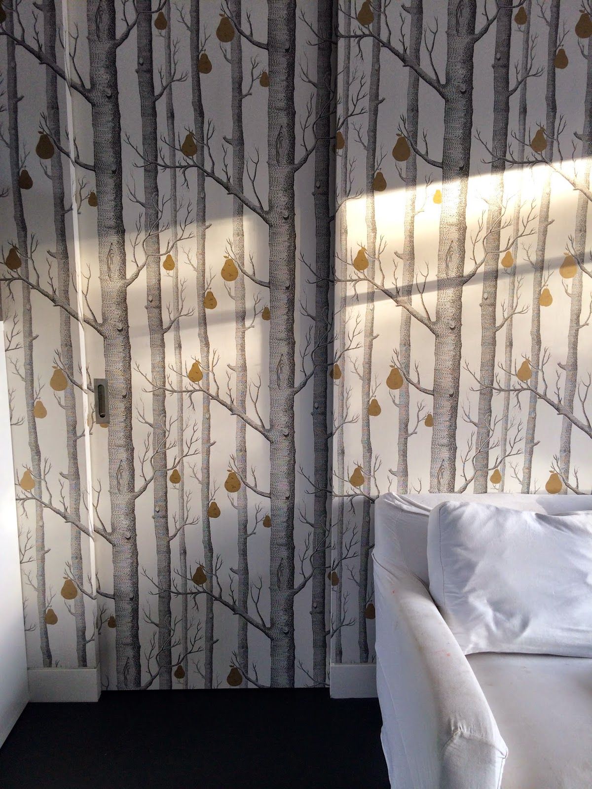 woods and pears wallpaper,white,tree,curtain,interior design,wall