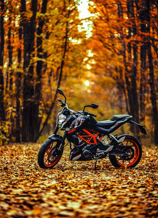 wallpaper cb,motorcycle,vehicle,nature,tree,enduro