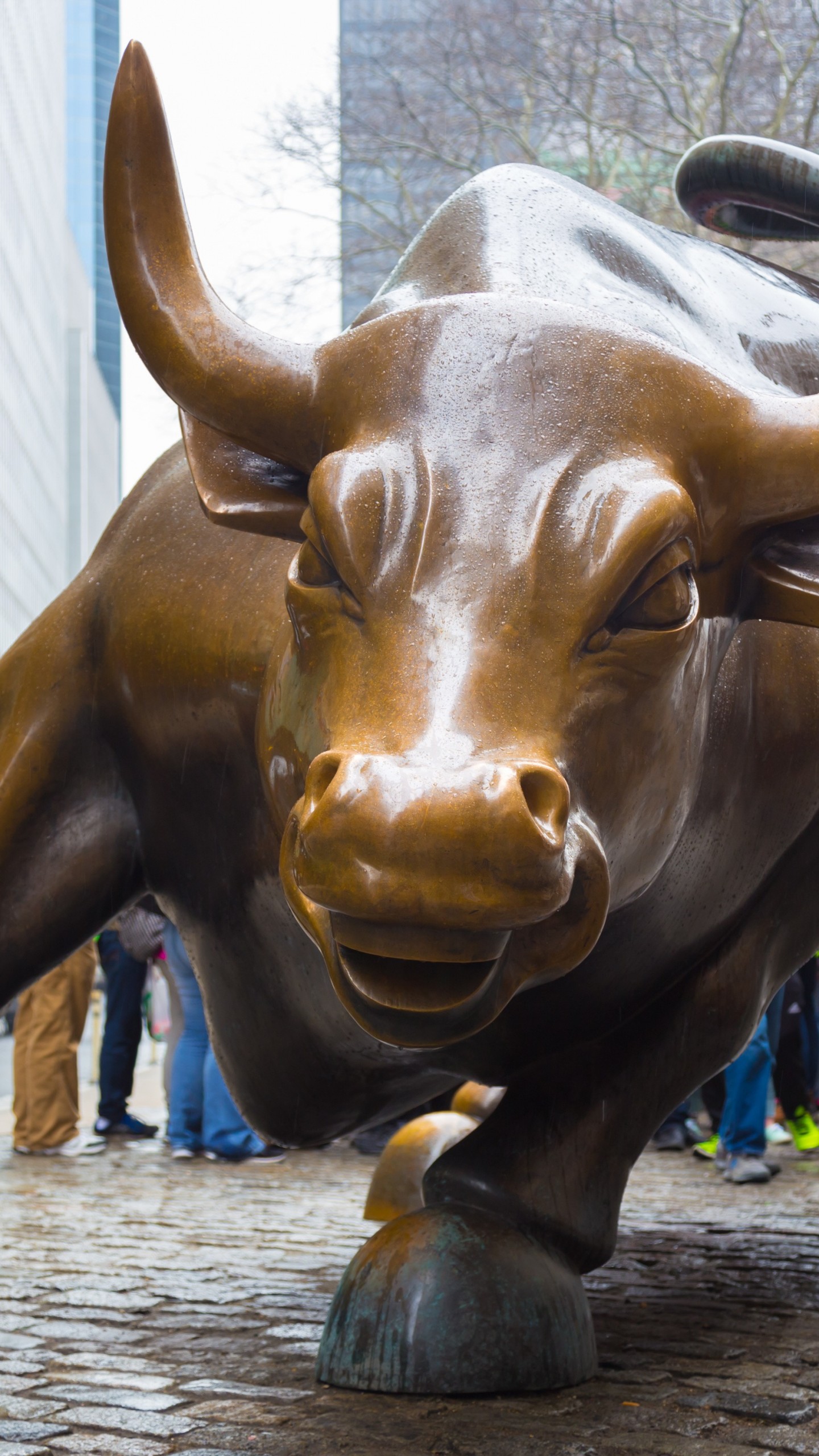 charging wallpaper,bovine,bronze sculpture,statue,horn,bull