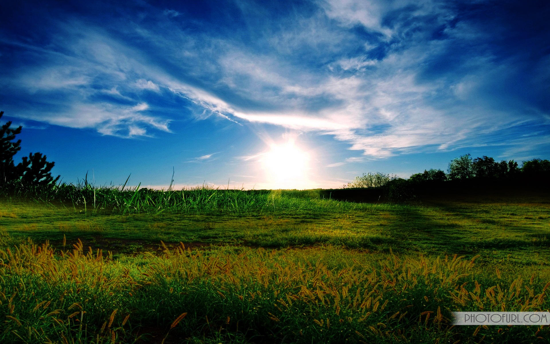 fondos de pantalla full hd para windows 10,cielo,paisaje natural,naturaleza,pradera,nube