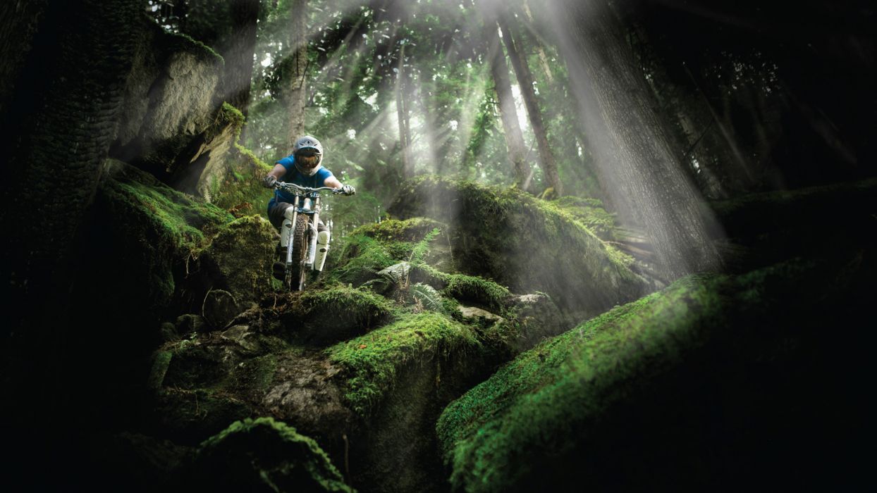 shimano wallpaper,mountain biking,nature,downhill mountain biking,mountain bike,freeride