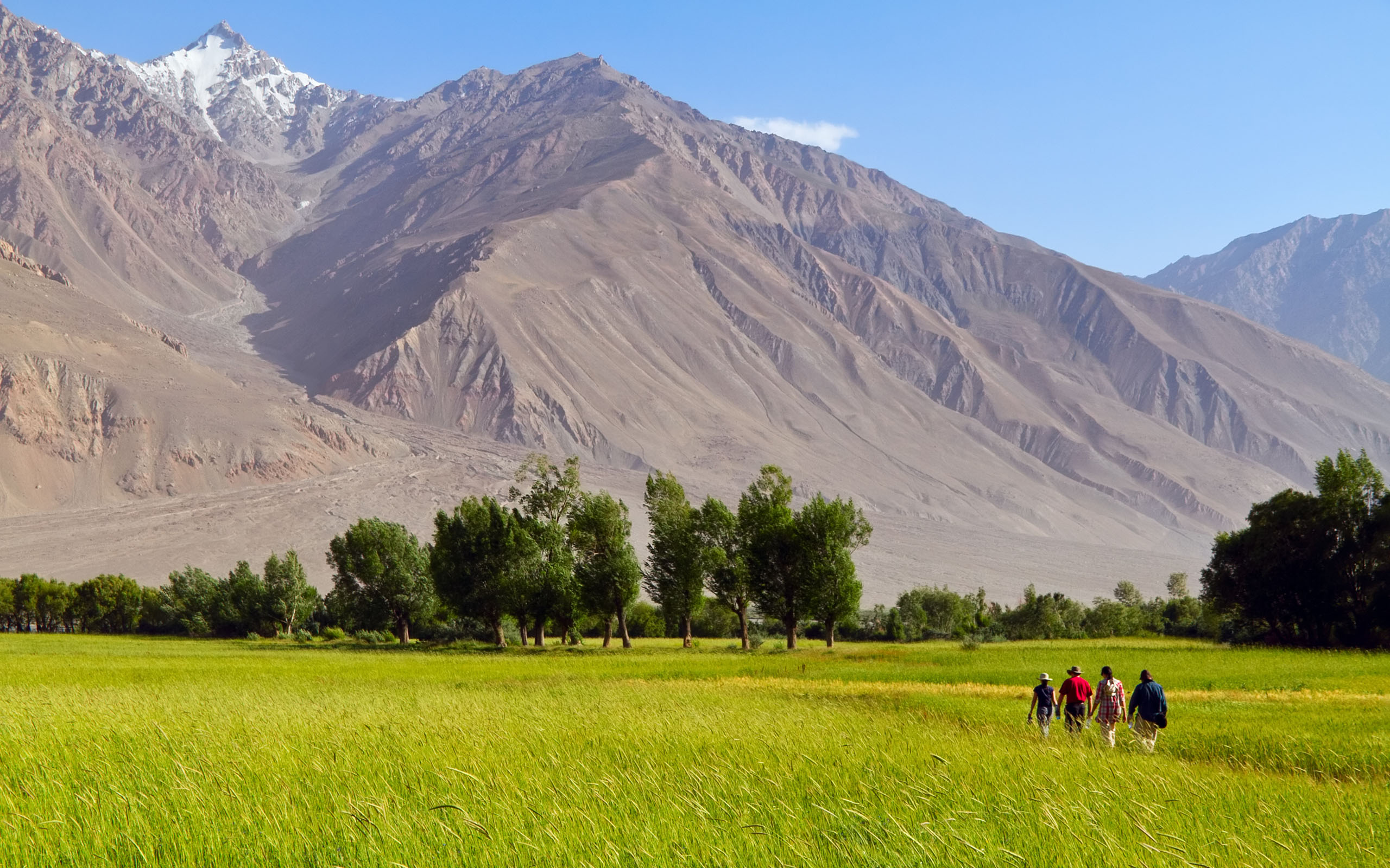 afghan wallpaper,mountainous landforms,grassland,natural landscape 
