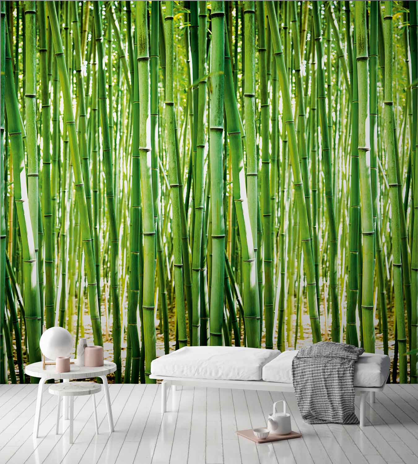 carta da parati di design in bambù,bambù,verde,sfondo,erba,pianta