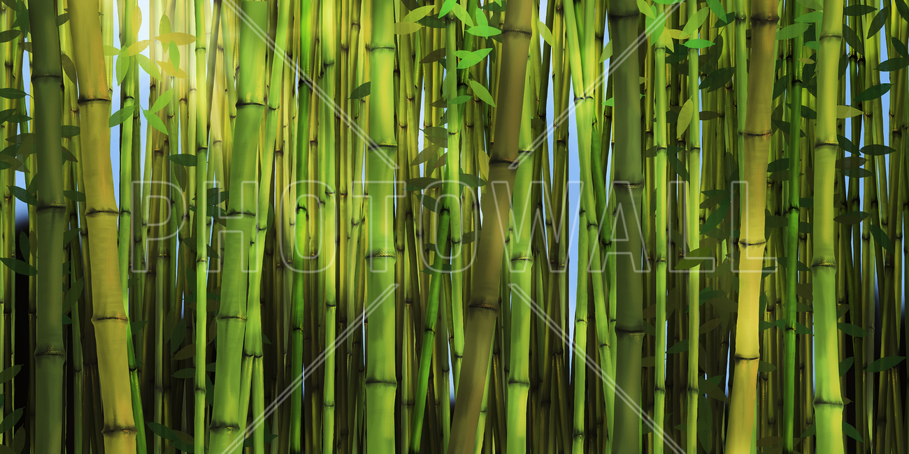papier peint design bambou,bambou,vert,tige de plante,plante,famille d'herbe